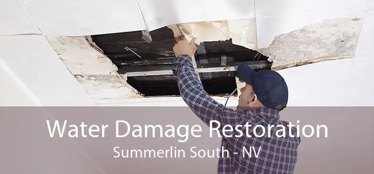 Water Damage Restoration Summerlin South - NV