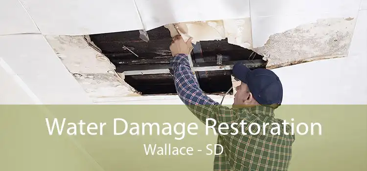Water Damage Restoration Wallace - SD