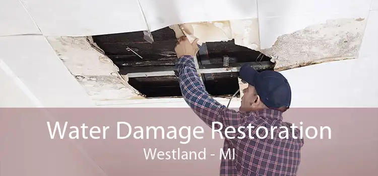 Water Damage Restoration Westland - MI