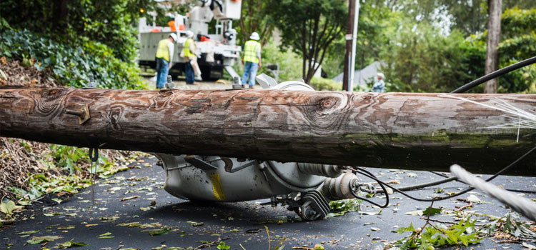 Affordable Storm Damage Restoration in Baton Rouge