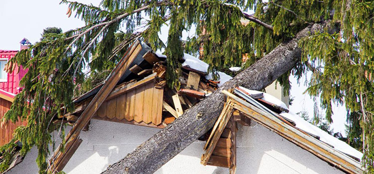 Commercial Storm Damage Restoration in Stamford